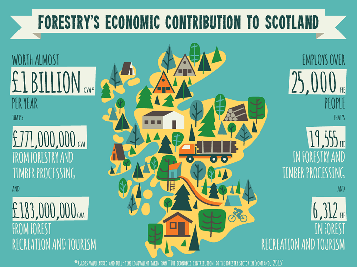 forestry infographic 1