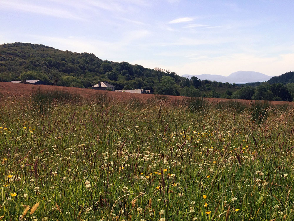 The landscape at Auchgoyle farm in Argyll.