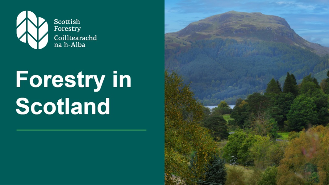 Cover image - slide 1 - of the Forestry in Scotland presentation.