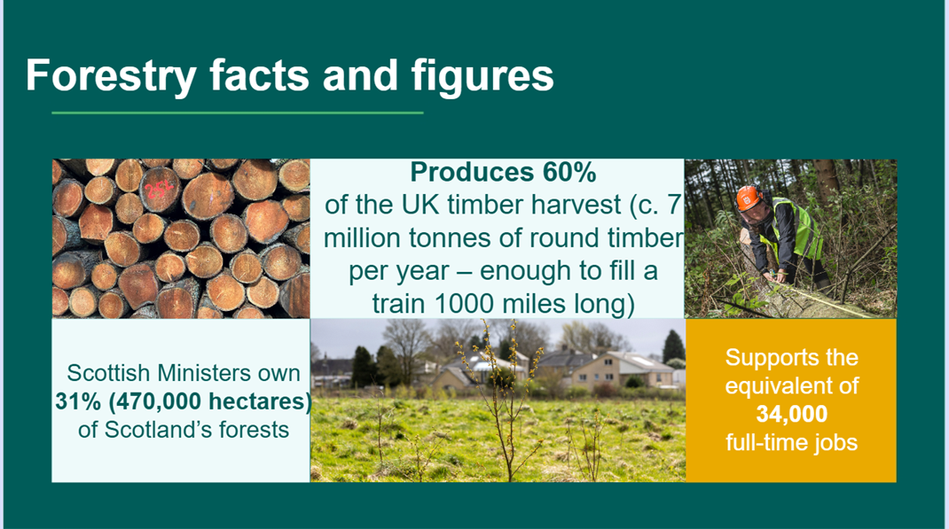 Slide 5 of the Forestry in Scotland presentation - Forestry facts and figures.