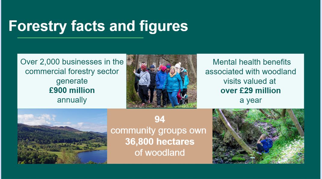 Slide 7 of the Forestry in Scotland presentation - Forestry facts and figures.