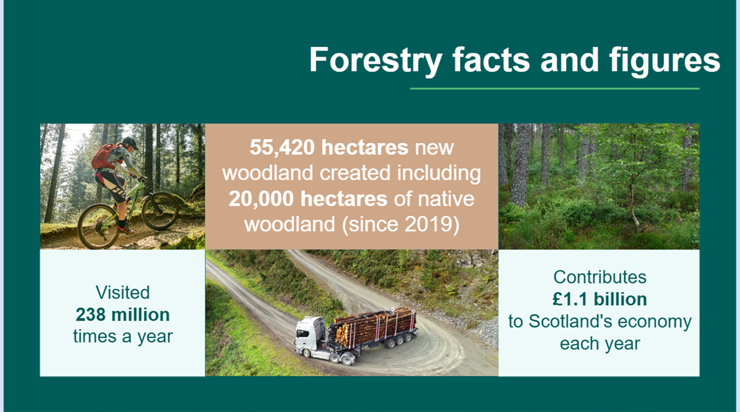 Slide 4 of the Forestry in Scotland presentation - Forestry facts and figures.