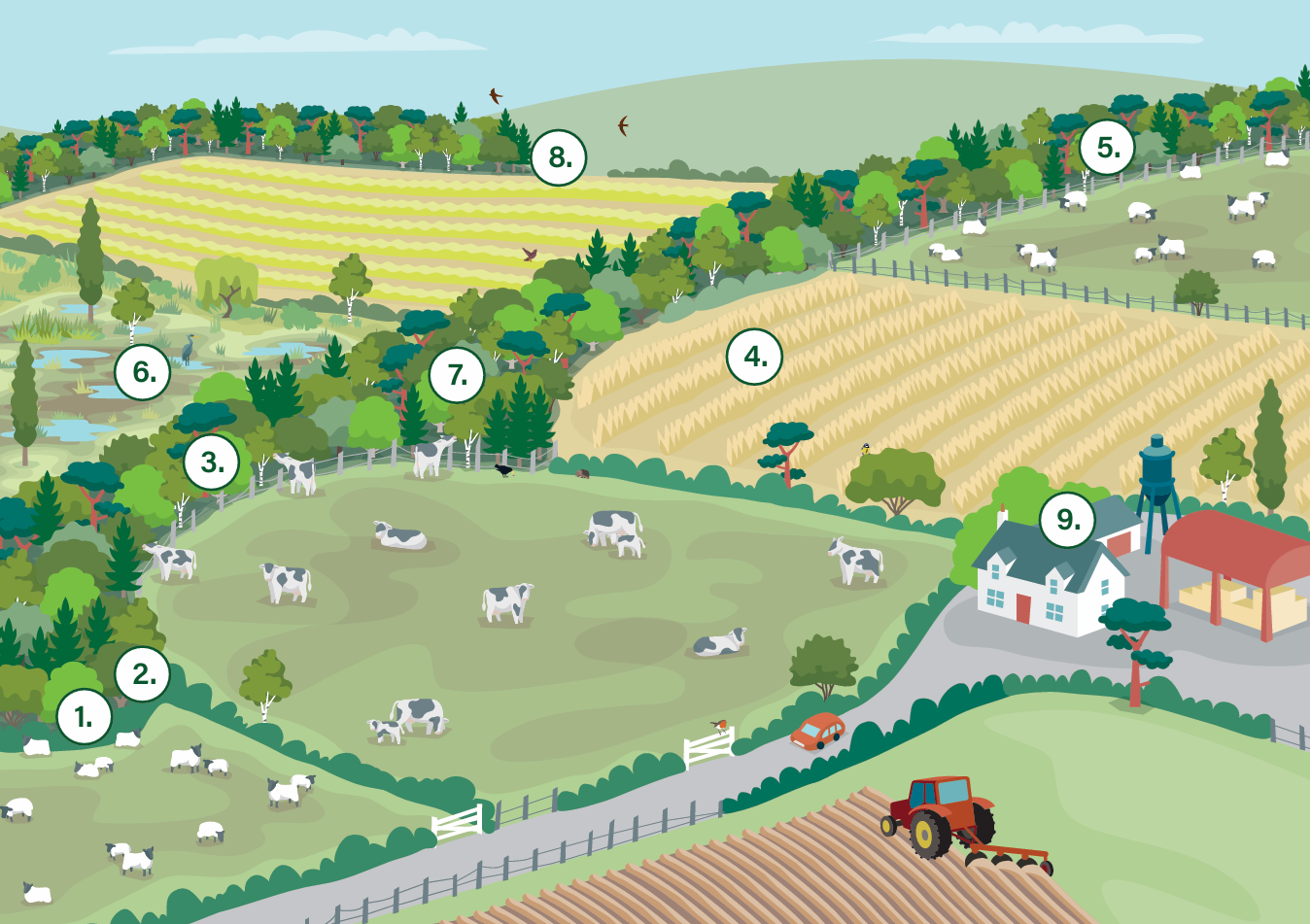 Infographic of farmland showing 9 benefits of shelterbelts.