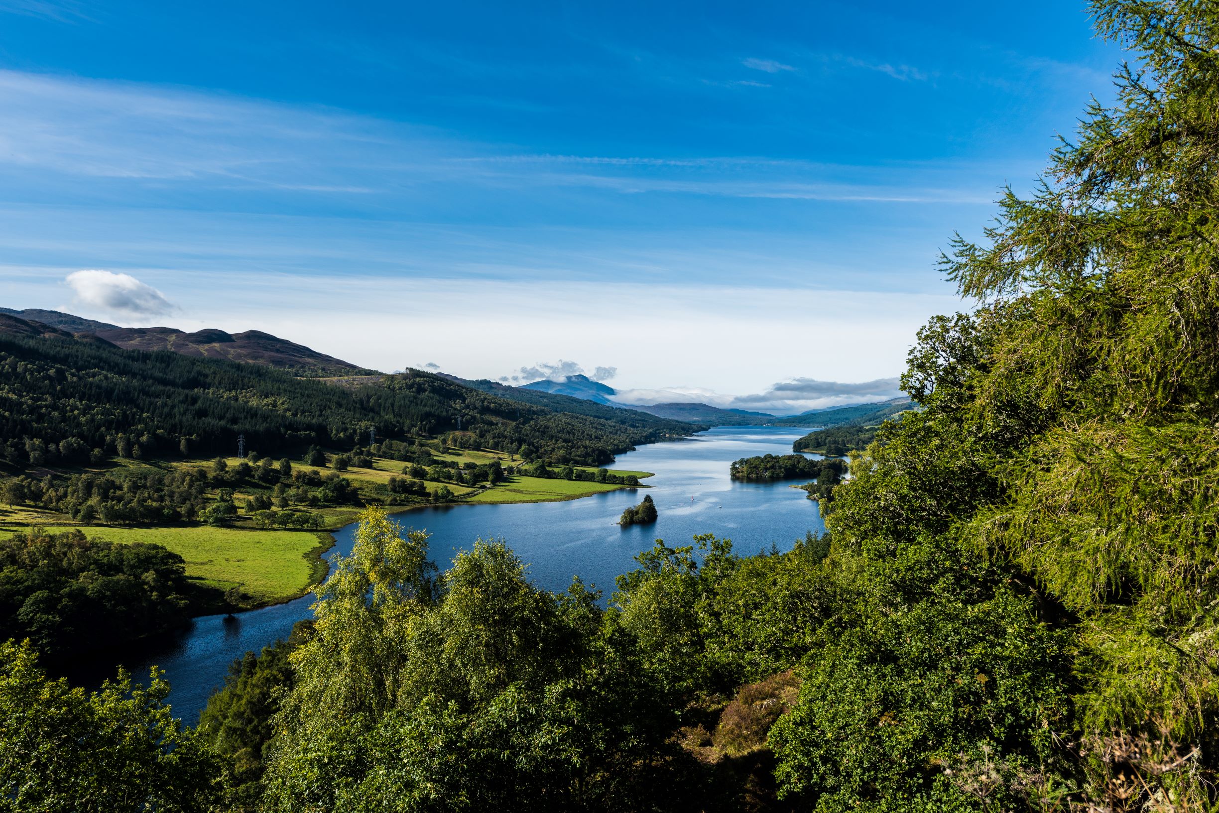 A view of mixed woodland and water on a sunny day