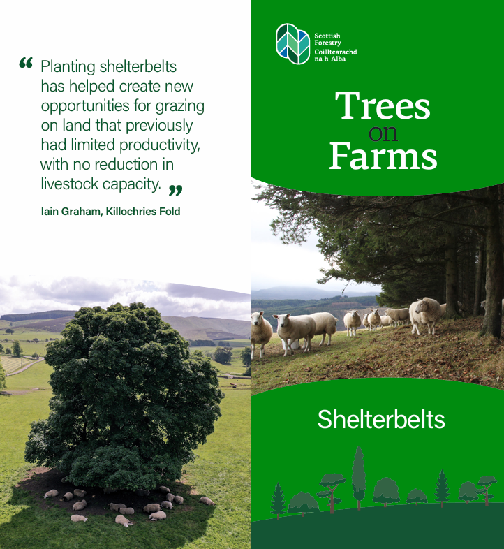 Cover image for 'Trees on farms - Shelterbelts' leaflet.