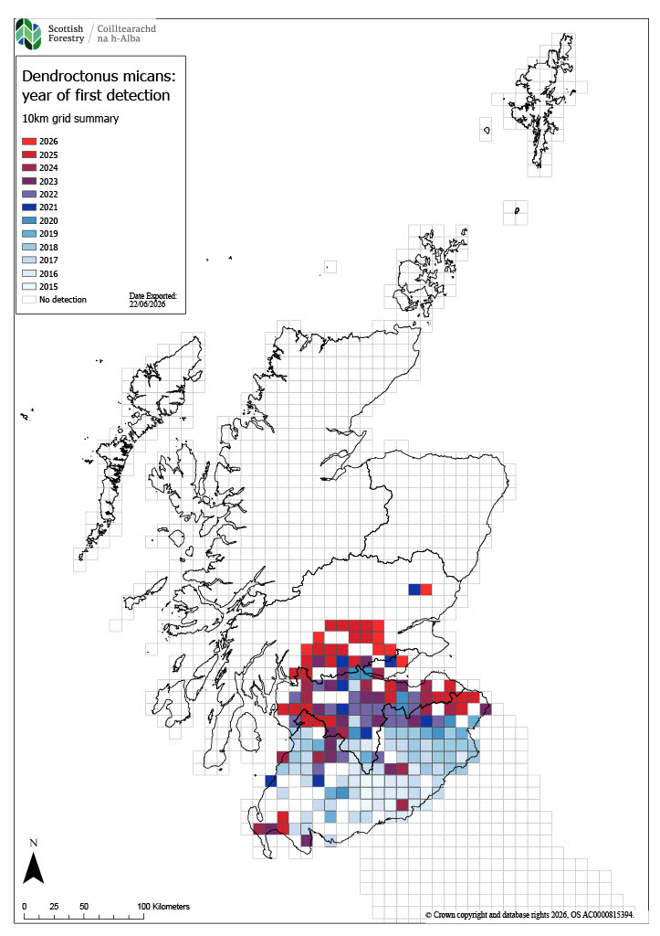 Dendroctonus micans - map showing first year of detection.